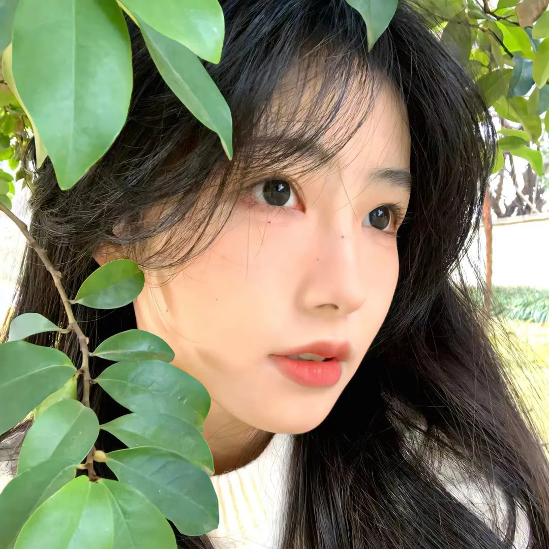 追杀51号